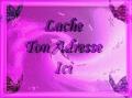 lache tn adresse msn
